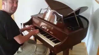 Blessing of a Wurlitzer 270 Baby Electric Grand (Butterfly)