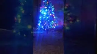 YouTube zoom into a Christmas tree #christmas #foryou #zoom