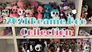 2021 beanie boo collection || almost 200 beanie boos || reupload
