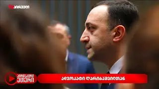 ადვოკატი ღარიბაშვილთან | დაარღვევს თუ არა დუმილს სამარტოო საკანში მყოფი ღარიბაშვილი