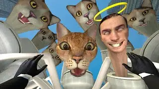 skibidi toilet cat 22🐈🔥