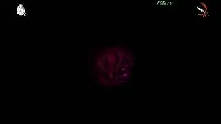 DEVOUR | [WR] | solo The Inn nightmare + batteries // 12:13.958