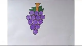 grapes drawing | grape wine drawing | fruit drawing tutorial | fruit drawing realistic| how to draw