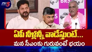 Ex-Minister Harish Rao Fires On CM Revanth Reddy And CM Chandrababu | AP TG Water War | TV5