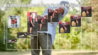 How To Reduce Compressive Forces On The Spinal Discs
