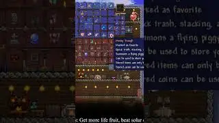 me and this inventory needs to be managed #terraria