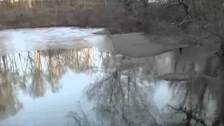 TZ Video 2016 01 17 082700 MUD CIRCLES POND TWICE