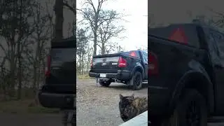Ford Explorer sport trac V8 💯