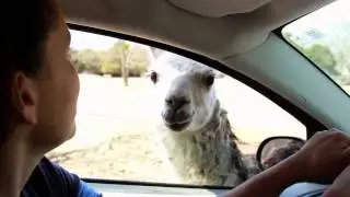 Harmony Safari Park