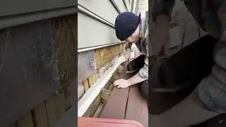 No Ledger Flashing Will COST $11,659 #construction #siding #deck