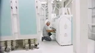 Moara cu Traditii - Tradiție &icirc;n fiecare sac