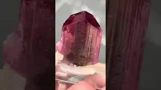 Liddicoatite Tourmaline Crystal from Madagascar | Fine Art Minerals | #fineminerals #tourmaline