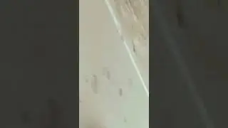 Daak Kanwar ❤️Kinanagar Garh road Meerut