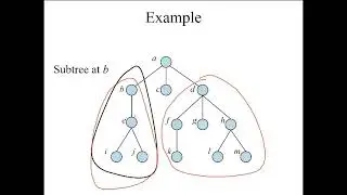 شرح Math 2 Course - Properties of Tree