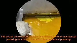 Soybean oil processing machinery process flow and principle
