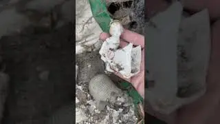 Exploring My Great Grandfathers Abandoned House!
