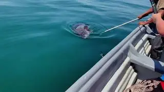 Fishing Punta Abreojos, Baja California M&eacute;xico