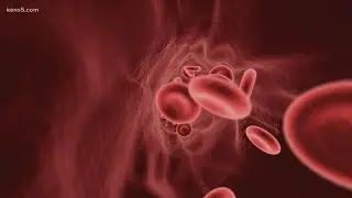 Verify: It is still largely unknown if a person with type O blood does better with COVID than other