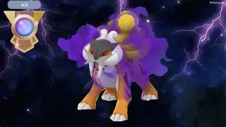 Shiny Shadow Raikou reaches ace rank with ease (Pokemon Go PVP)