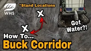 Buck Cruising Corridor Hunting Setup