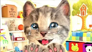 Cute Kitten Little Cat Adventure with Kitten's⭐Play Fun Pet Care video 😻Educational games for kids✨