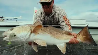 PrawnstarZ LB Are Keeping the Bite Hot This Winter!
