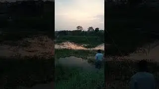 #village #grameen #beautiful #scenery #nature #love #vlog