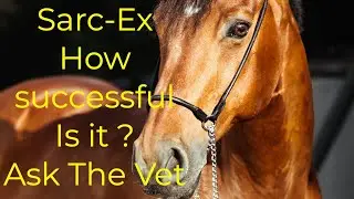 Sarc-Ex - How successful is it ? Ask The Vet #equinecare