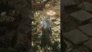 Making My Way Down to Gank City #gaming #darksouls