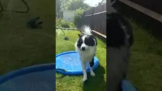 Sprinkler Splash Pad Portable Pool