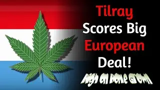 Tilray to Supply Luxembourg with Medical Cannabis in Huge European Deal!