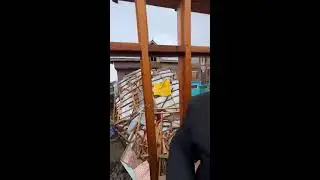 Snow fall in kashmir  || Snowfall kashmir news | trending news 