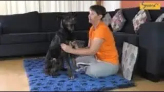 Fur Therapy 24 July 2020