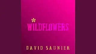 Wildflowers
