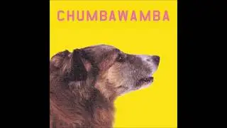 Chumbawamba - The Health & Happiness Show