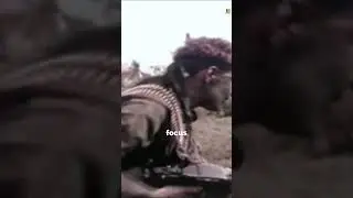 Navy SEALs in Vietnam | Rare Combat Footage in Color