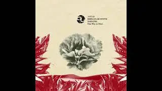 Nakadia and Irregular Synth - One Way To Mars (Original Mix)