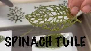 Spinach tuile ( vegan / gluteen free) , Food plating techniques