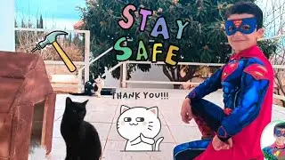 Super green💚Let's make a cat house🏚️😿🐈&zwj;⬛