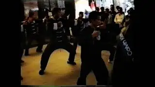 Volam 1996 Tegernheim