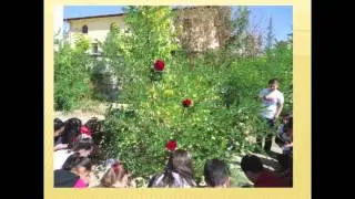 Springtime festivities in Turkey