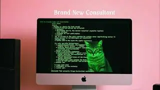 Brand New Consultant - The Implementors