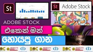 Adobe stock එකෙන් මන් හොයපු ගාන .|make money on adobe stock sinhala .