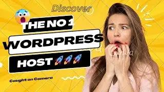 WPX Hosting Honest Review 2024|Is It Really Worth It