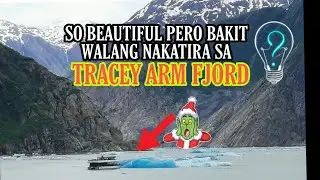 #travel #cruising #tylord TRACEY ARM FJORD