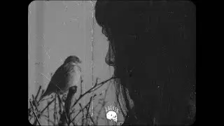 [free for profit] sad guitar lil peep x emo trap type beat ~ ascend