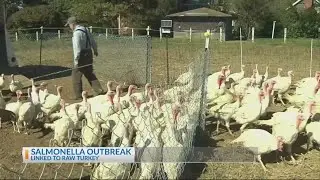 Turkey Recall