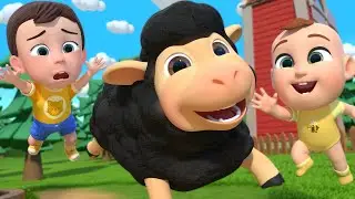 Baa Baa Black Sheep Song | Newborn Baby Songs & Nursery Rhymes