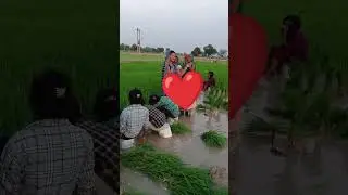 #song #sorts #bhojpuri #funny #dance #गीत #dehati #wedding #vivahgit #weddingmusic