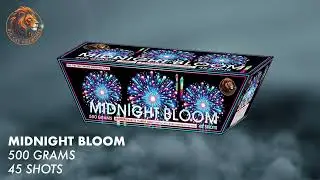Midnight Bloom - 500G Finale